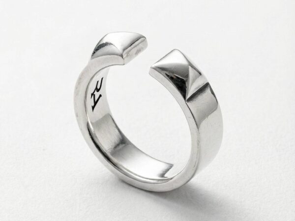 Anillo Abierto Rebel