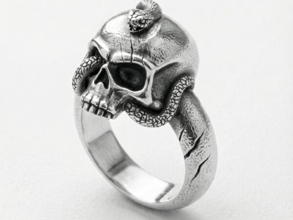 Anillo calavera serpiente enroscada plata 925 para hombre Roberto Axpe